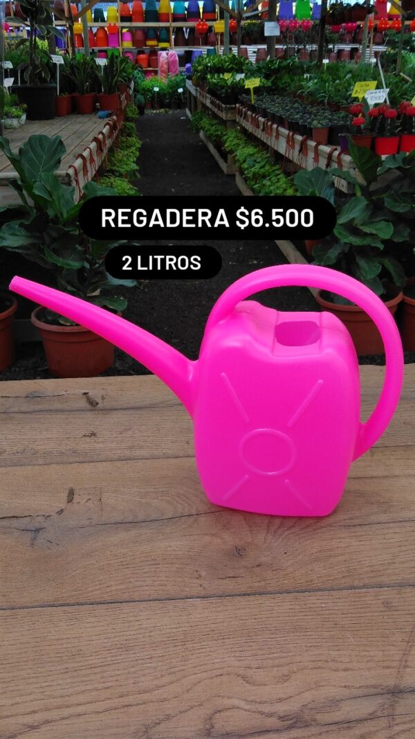 Regadera Mediana