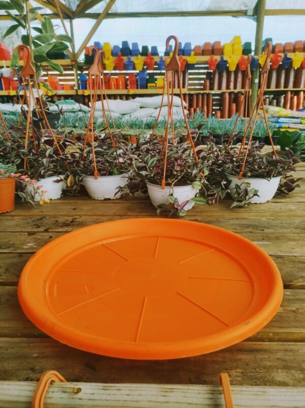Plato N50, 40cm de ancho