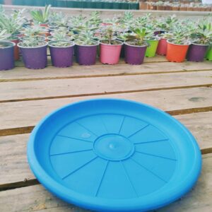 Plato N28, 22cm de ancho