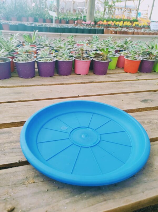 Plato N28, 22cm de ancho