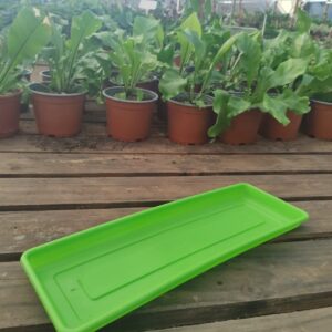 Plato Jardienera N45, ancho; 12cm, largo; 40cm