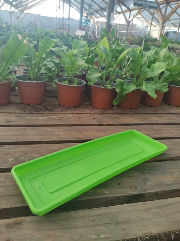 Plato Jardienera N45, ancho; 12cm, largo; 40cm
