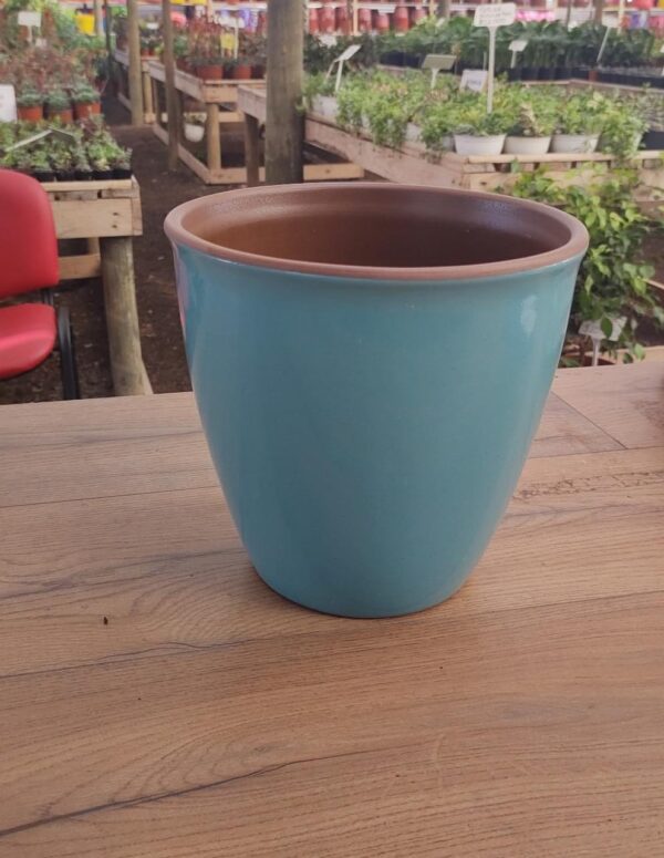 Macetero de vidrio 23cm de ancho