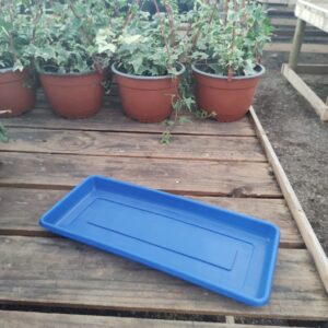 Plato Jardinera N35, ancho; 13cm, largo; 31cm