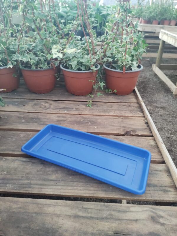 Plato Jardinera N35, ancho; 13cm, largo; 31cm