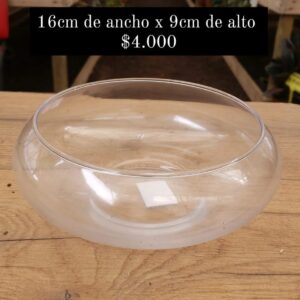 Pecera de vidrio
