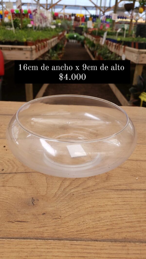 Pecera de vidrio