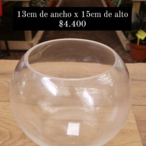 Pecera de vidrio