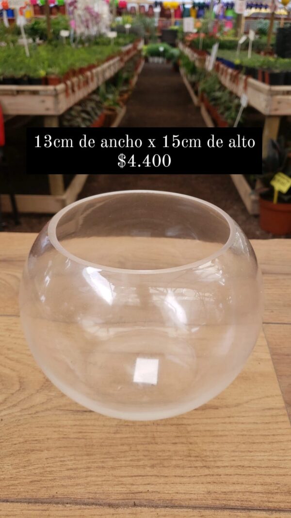 Pecera de vidrio