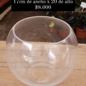 Pecera de vidrio
