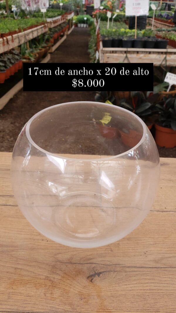 Pecera de vidrio