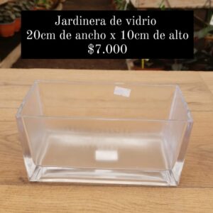 Jardinera de vidrio