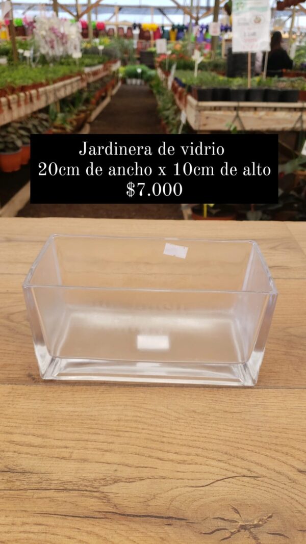 Jardinera de vidrio