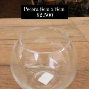 Pecera de vidrio
