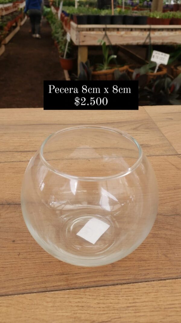 Pecera de vidrio