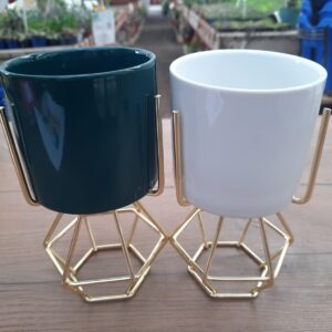 maceteros de vidrio decoración