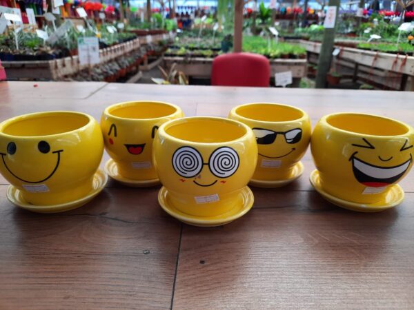 Macetero emoji