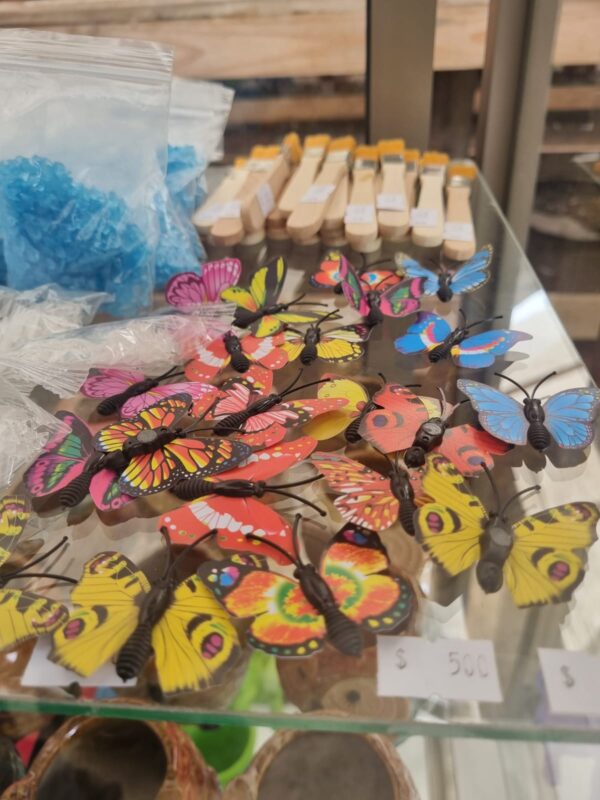 Mariposa de colores con imán