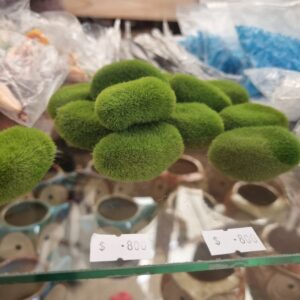 Pasto en miniatura decorativo