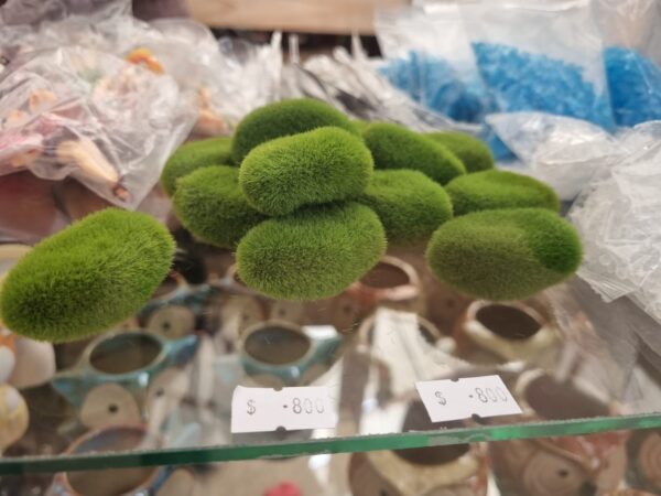 Pasto en miniatura decorativo