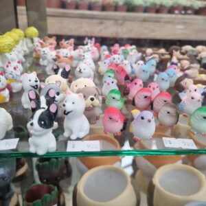 Aves y perritos en miniatura