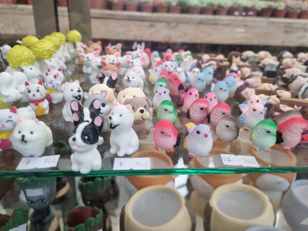 Aves y perritos en miniatura